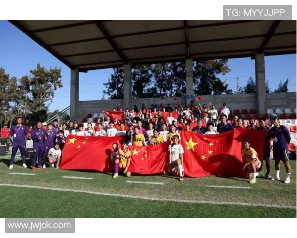 中国足球明星卡片全览展现中国队足球球员风采精彩合集