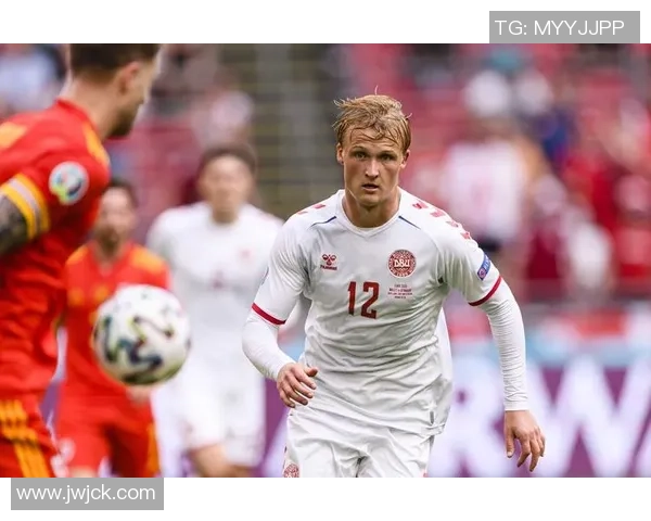 丹麦足球国家队球星风采解析与未来发展潜力展望